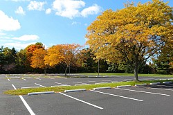 Commercial surface cleaning